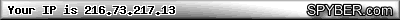 Spyber.com - What is my IP address